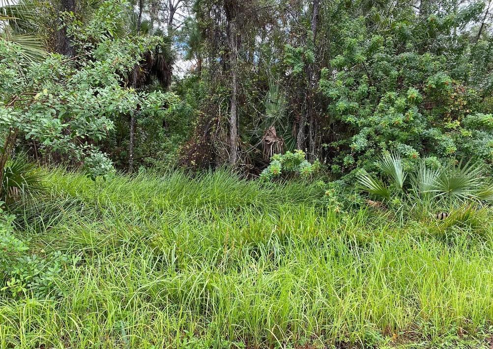 1372 HARVARD ST SW, PALM BAY, FL, 32908