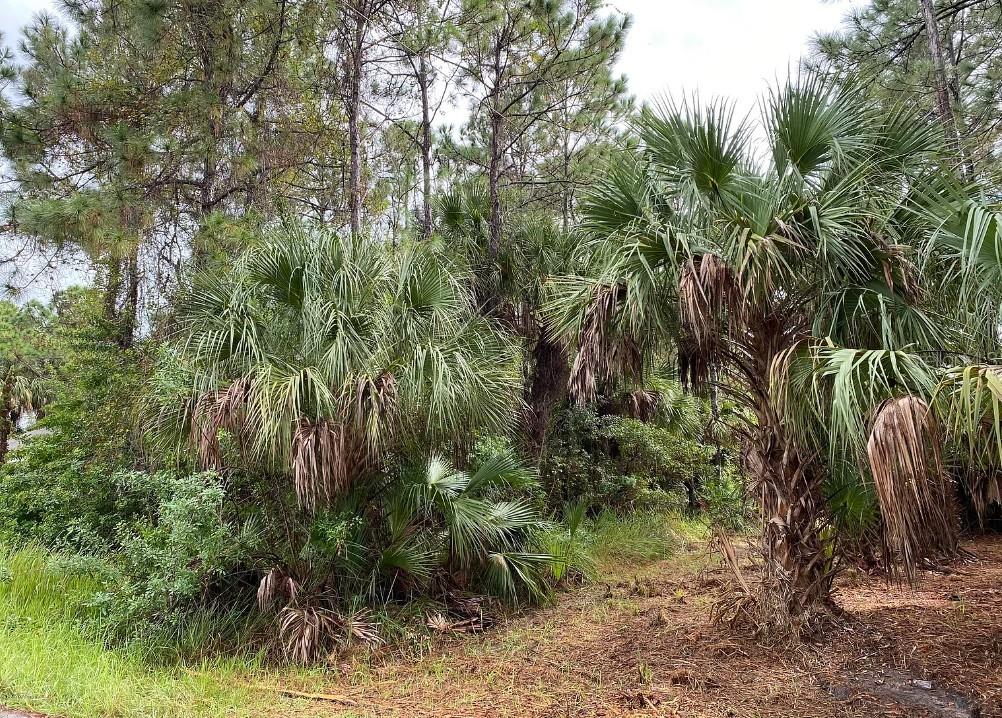 1372 HARVARD ST SW, PALM BAY, FL, 32908