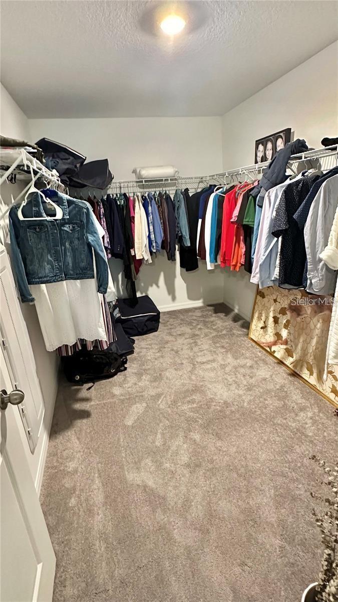 31363 SUN KETTLE LOOP, WESLEY CHAPEL, FL, 33545