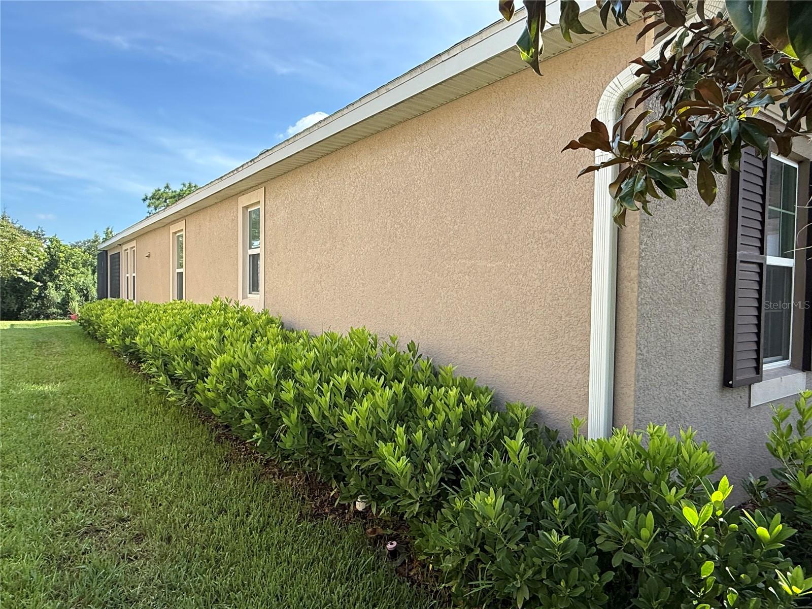 33193 SHADOW BRANCH LN, WESLEY CHAPEL, FL, 33545