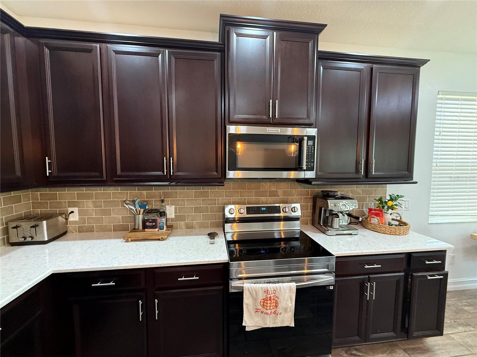 33193 SHADOW BRANCH LN, WESLEY CHAPEL, FL, 33545