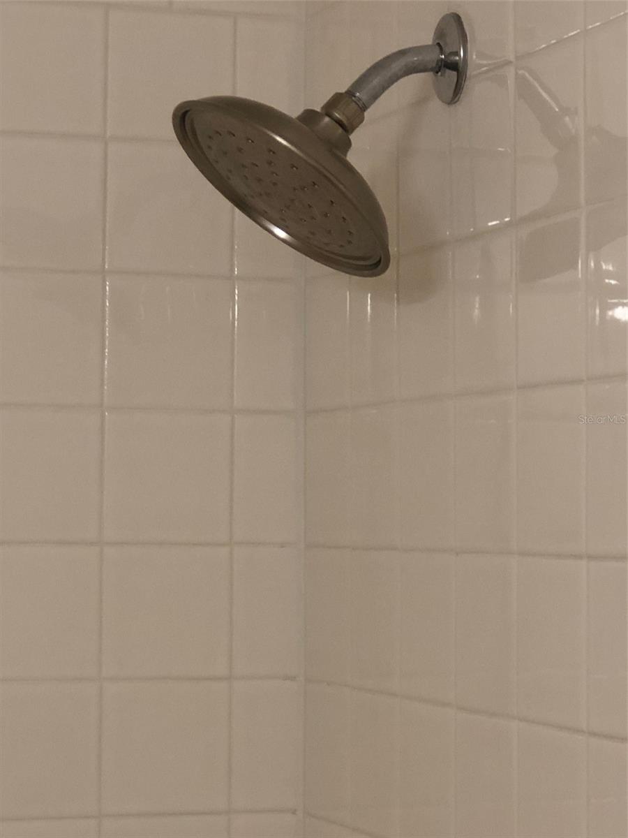 8013 SUTTON TERRACE LN, TAMPA, FL, 33615