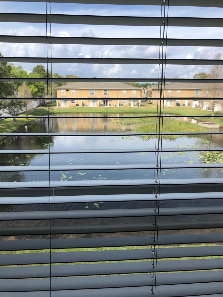 8013 SUTTON TERRACE LN, TAMPA, FL, 33615