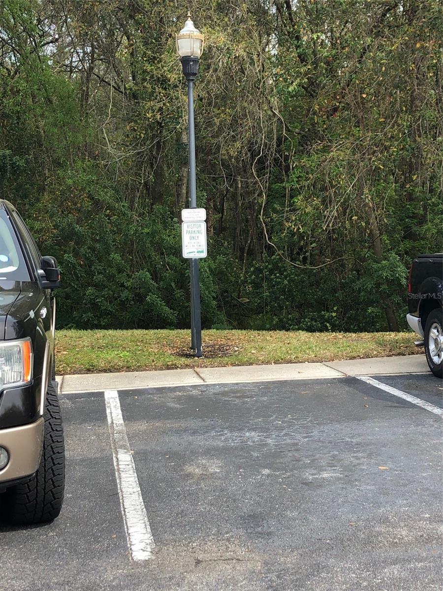 8013 SUTTON TERRACE LN, TAMPA, FL, 33615