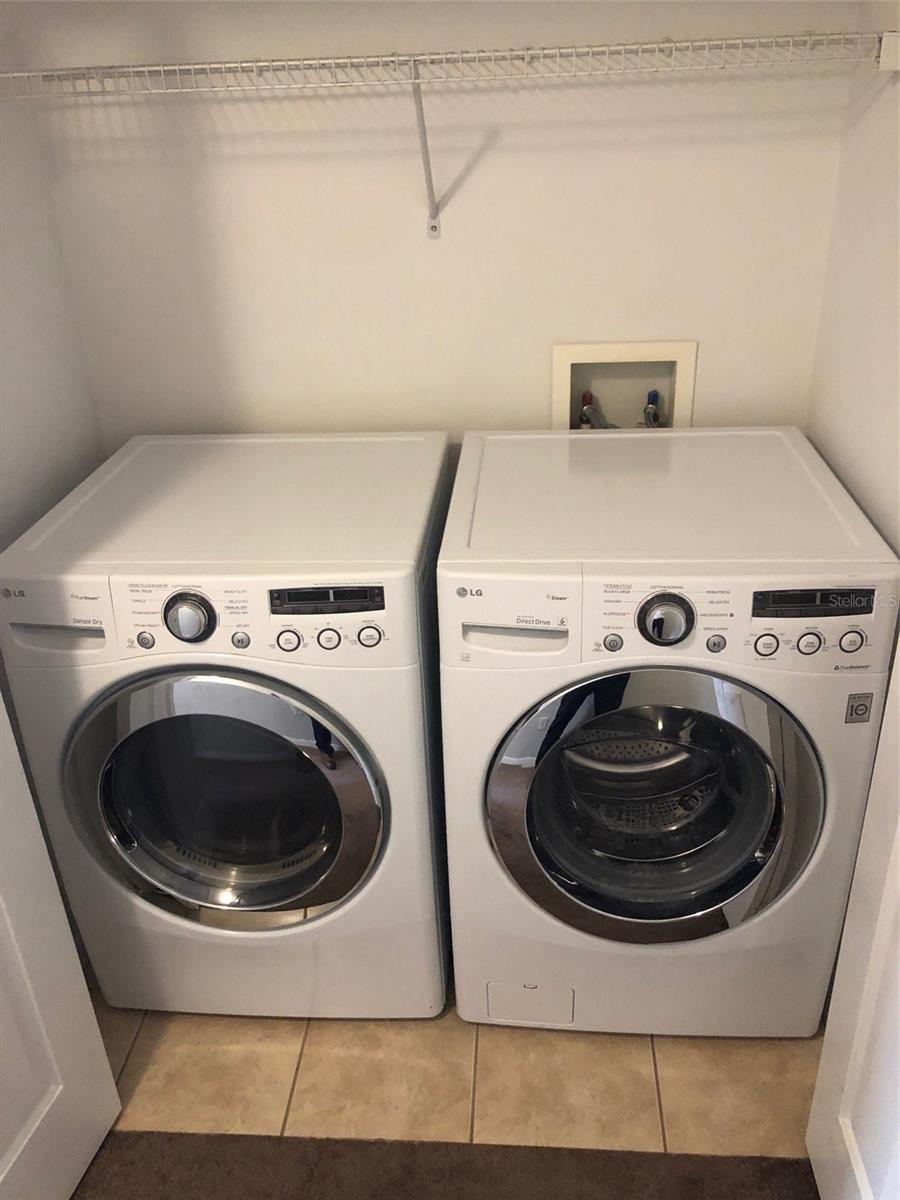 8013 SUTTON TERRACE LN, TAMPA, FL, 33615