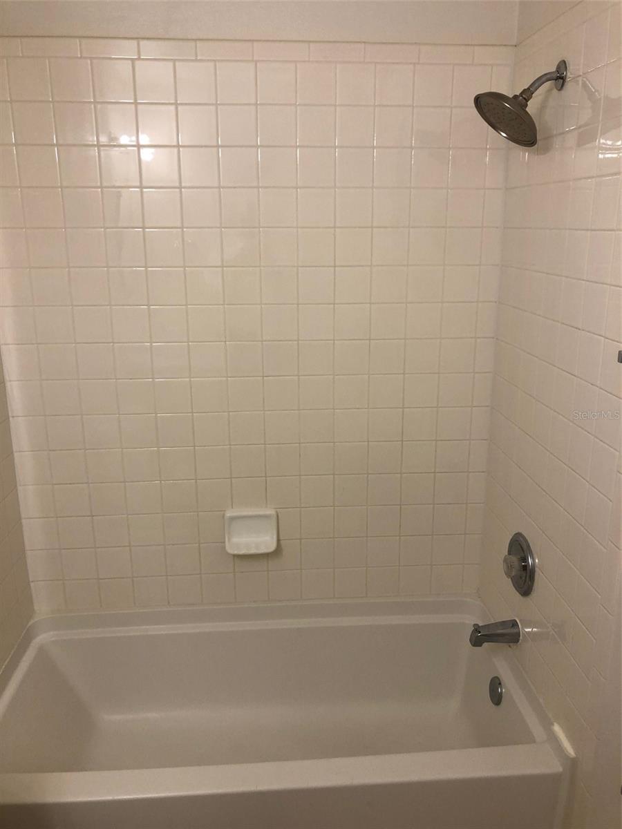 8013 SUTTON TERRACE LN, TAMPA, FL, 33615