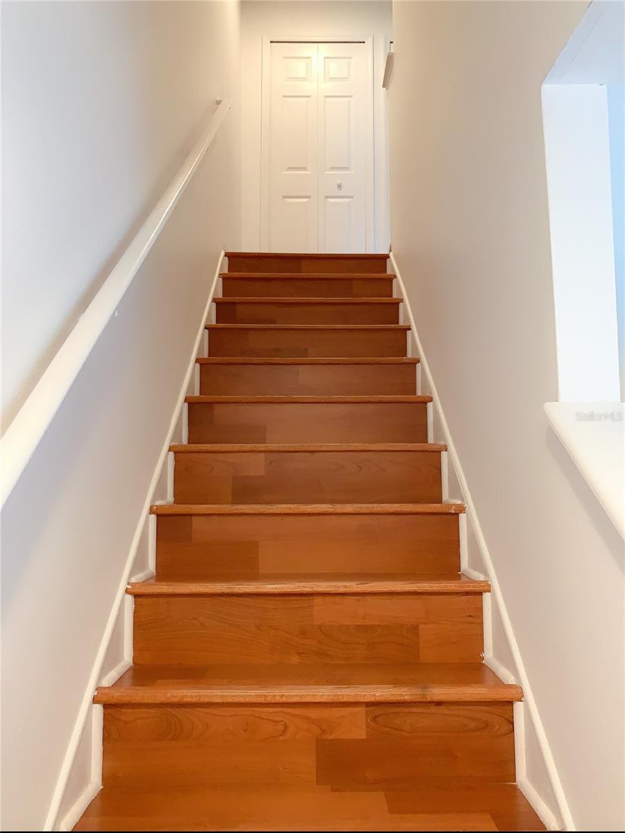 8013 SUTTON TERRACE LN, TAMPA, FL, 33615