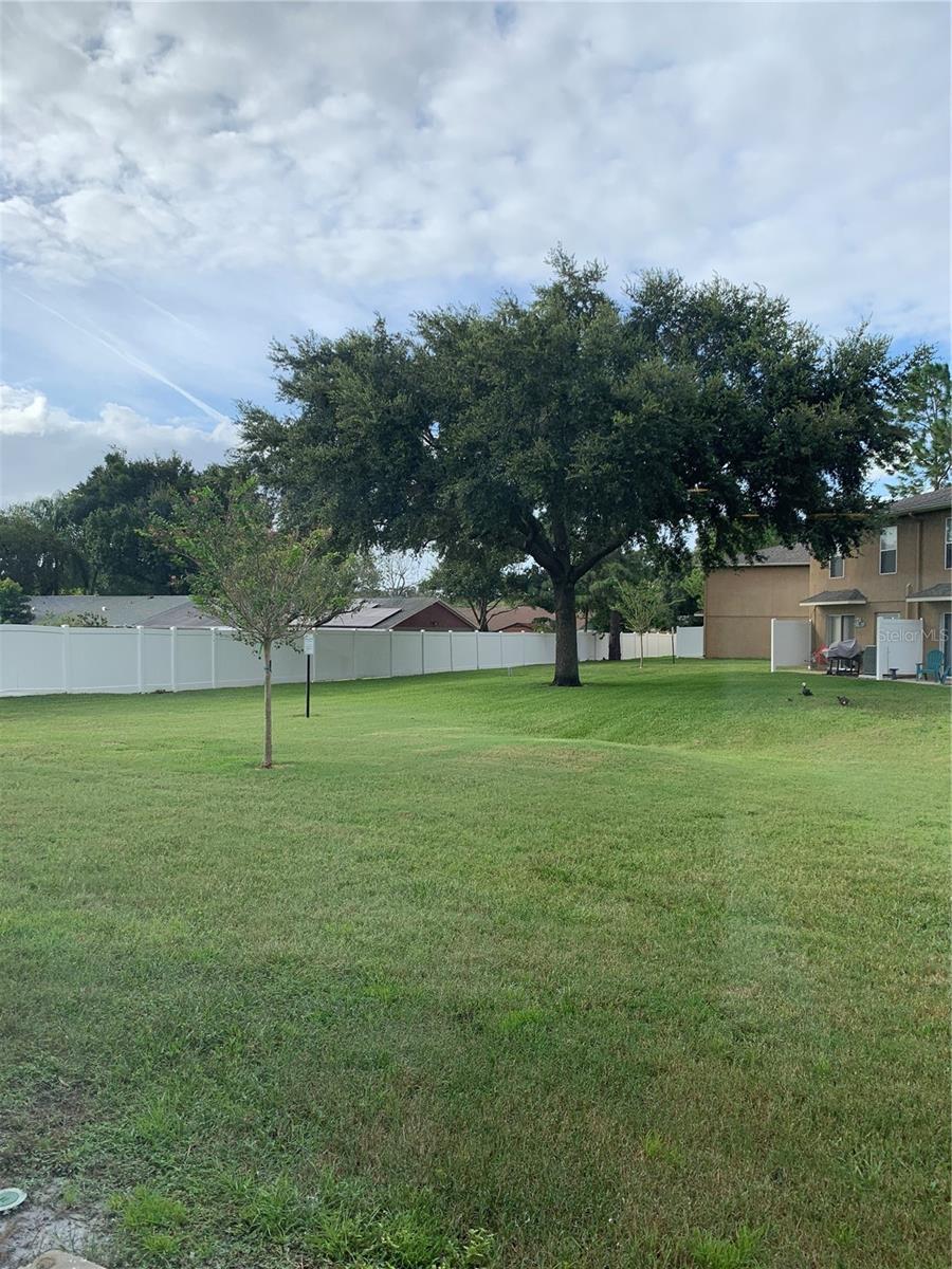 8013 SUTTON TERRACE LN, TAMPA, FL, 33615