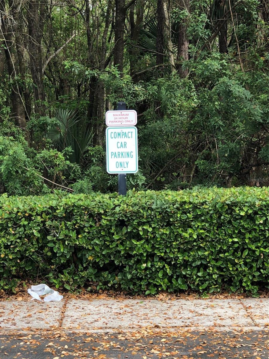 8013 SUTTON TERRACE LN, TAMPA, FL, 33615