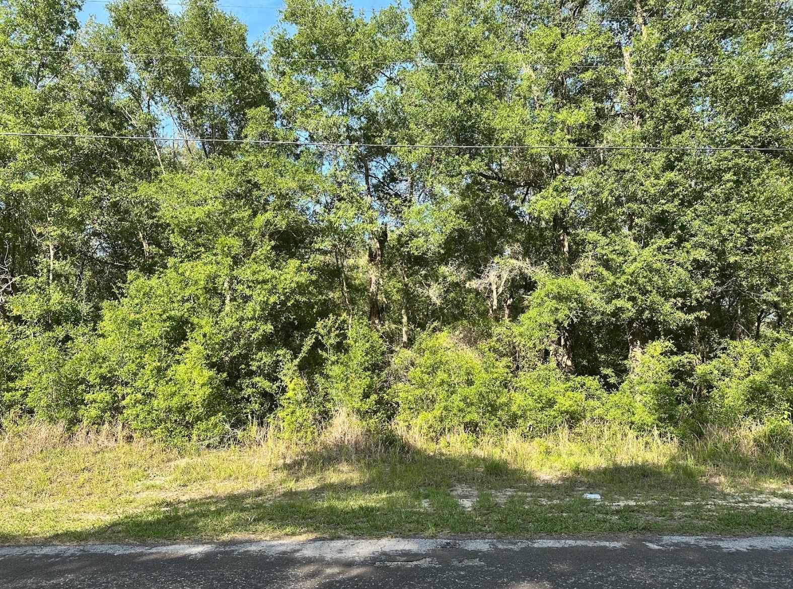 10713 N ADLER DR, CITRUS SPRINGS, FL, 34434