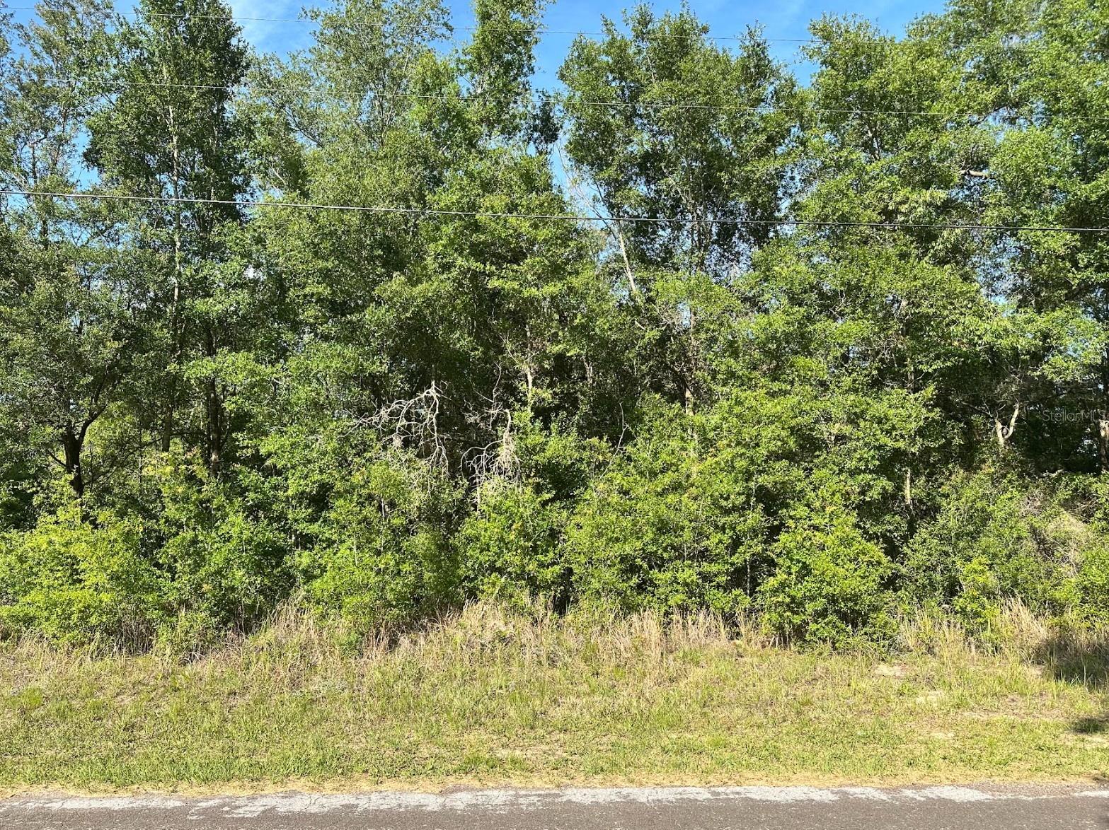 10713 N ADLER DR, CITRUS SPRINGS, FL, 34434