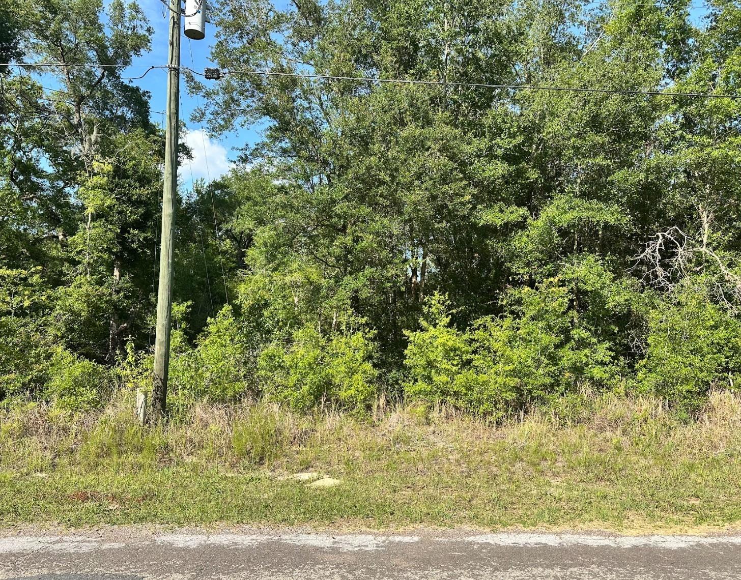 10713 N ADLER DR, CITRUS SPRINGS, FL, 34434