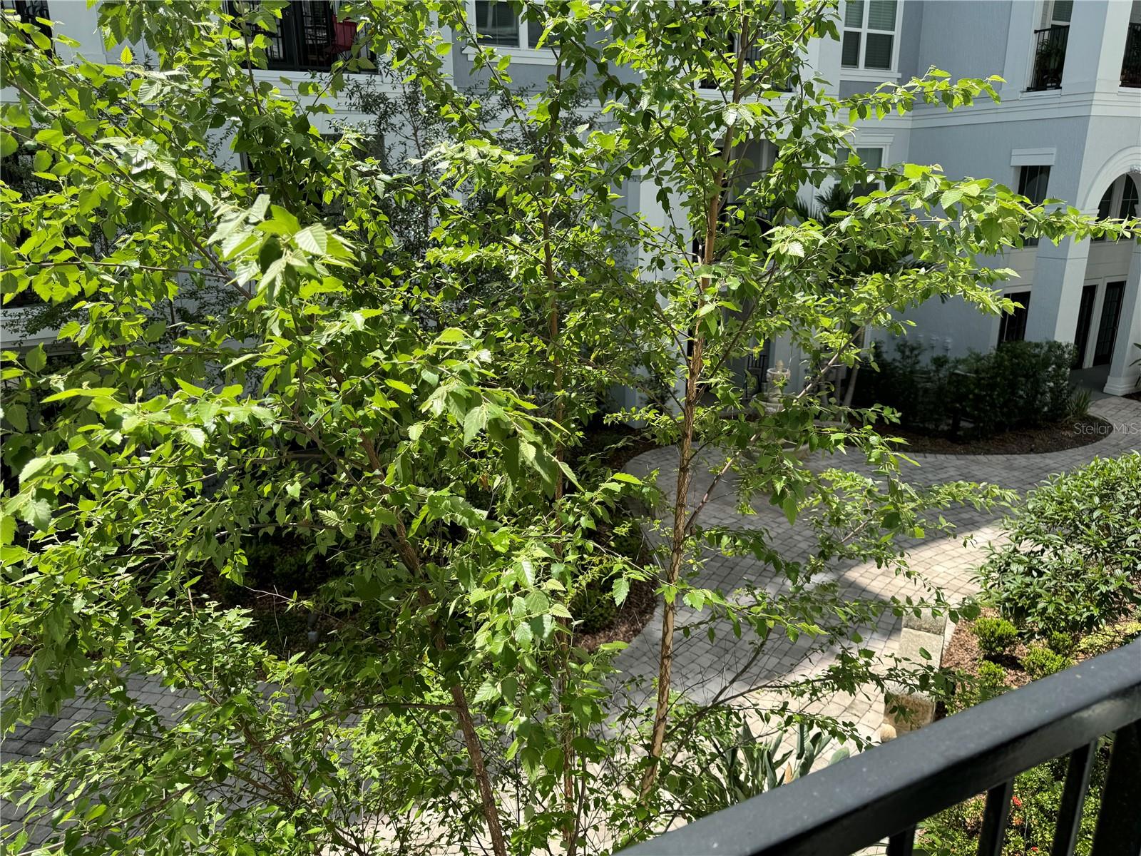 300 E SOUTH ST #2016, ORLANDO, FL, 32801