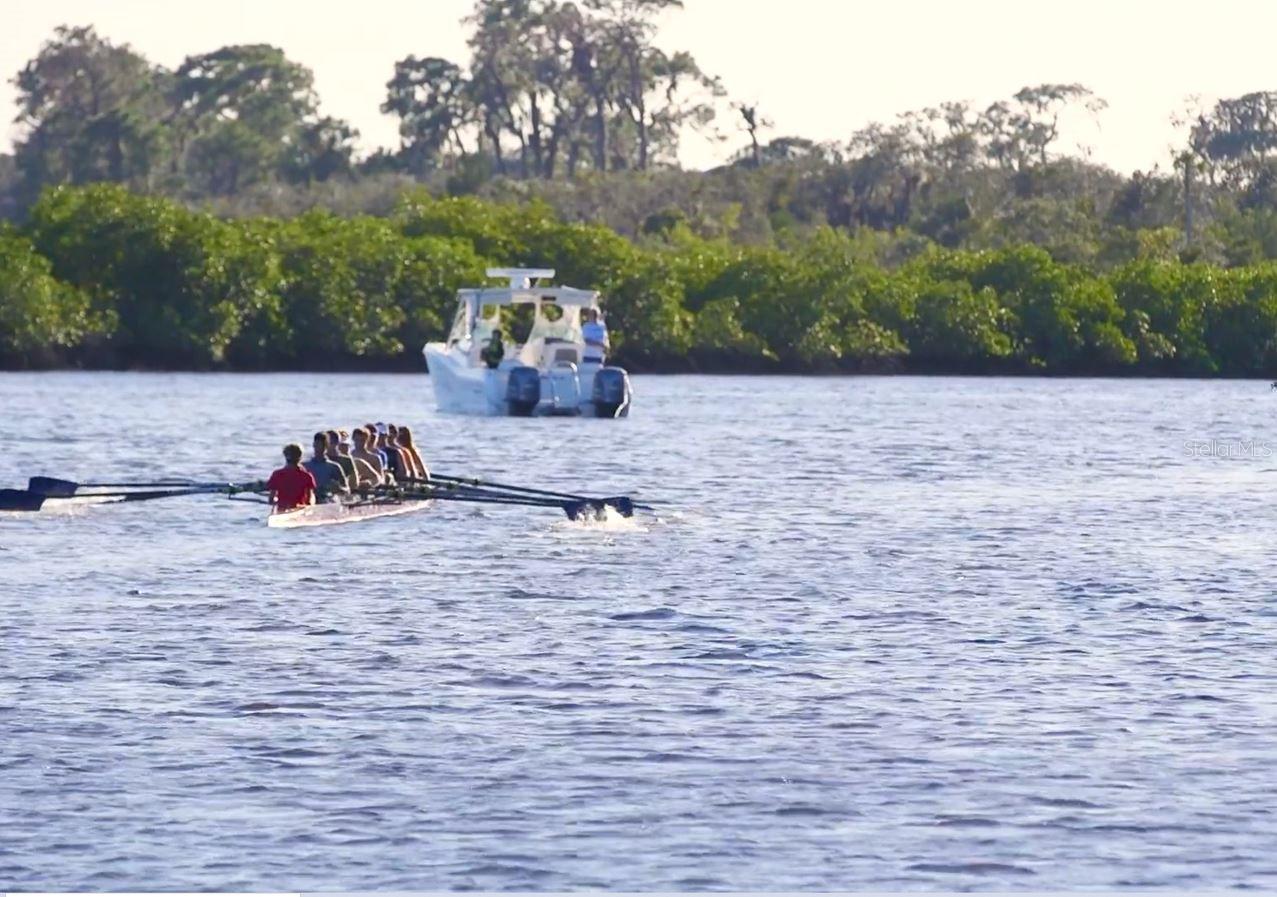 1620 RIO VISTA TER, PARRISH, FL, 34219