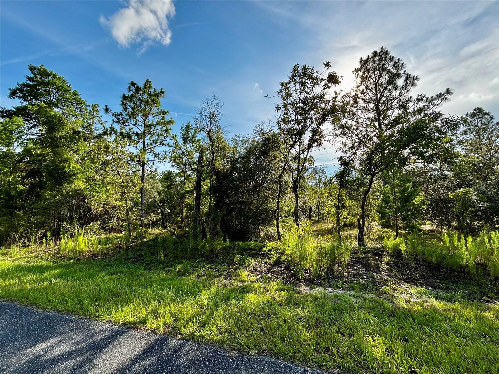 Lot 24 SE 136 TER, DUNNELLON, FL, 34431