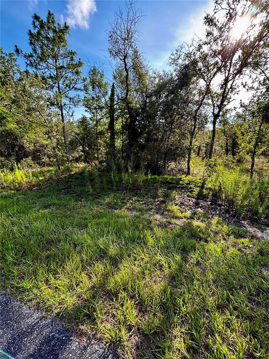 Lot 24 SE 136 TER, DUNNELLON, FL, 34431