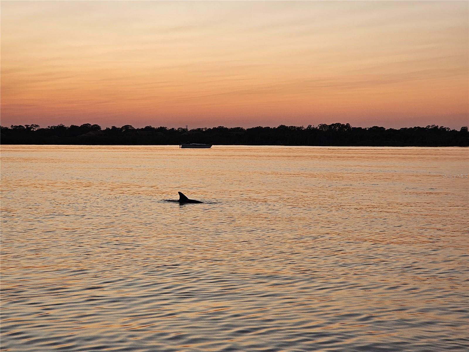 142 REEF RD, SOUTH DAYTONA, FL, 32119