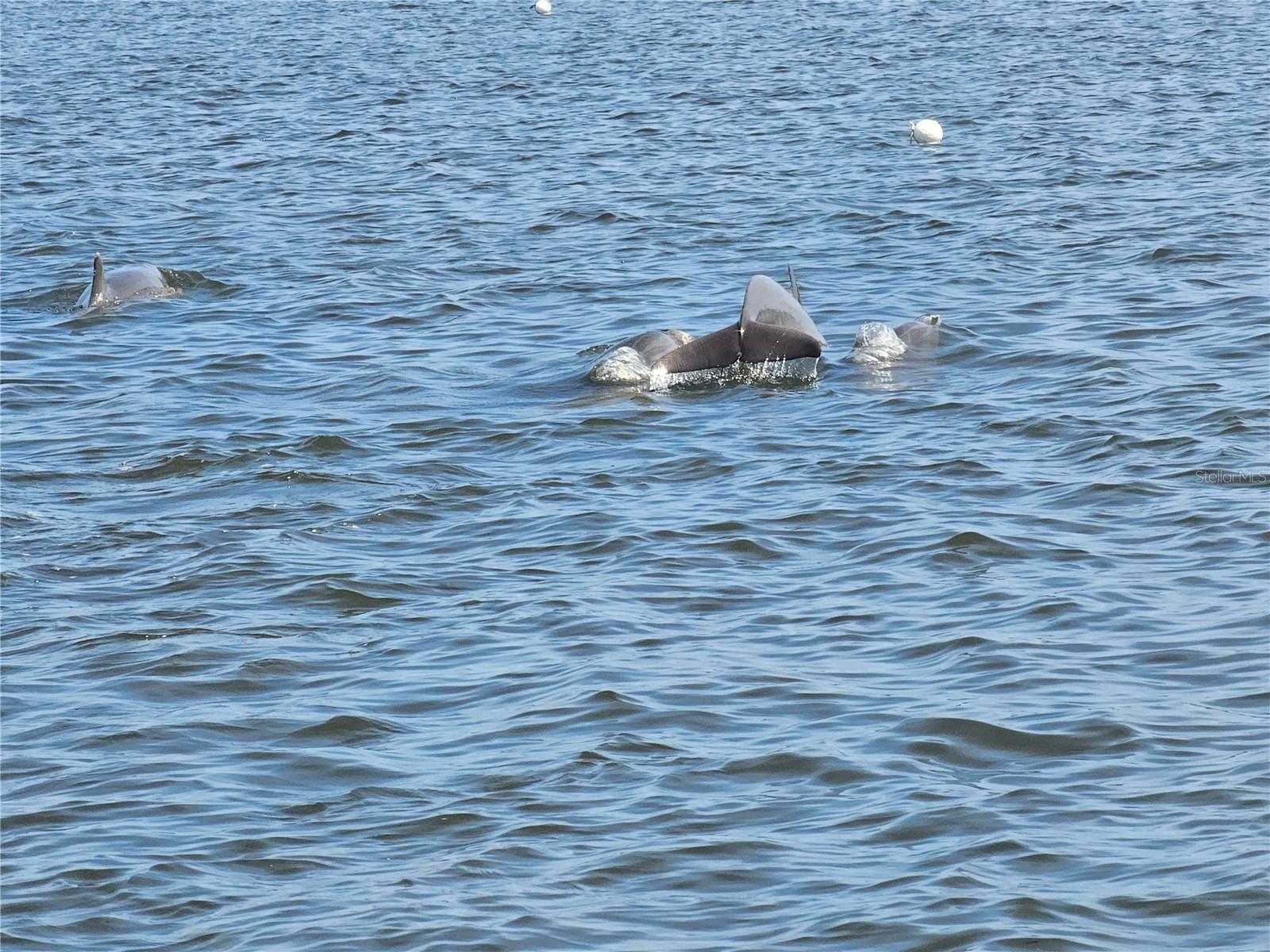 142 REEF RD, SOUTH DAYTONA, FL, 32119