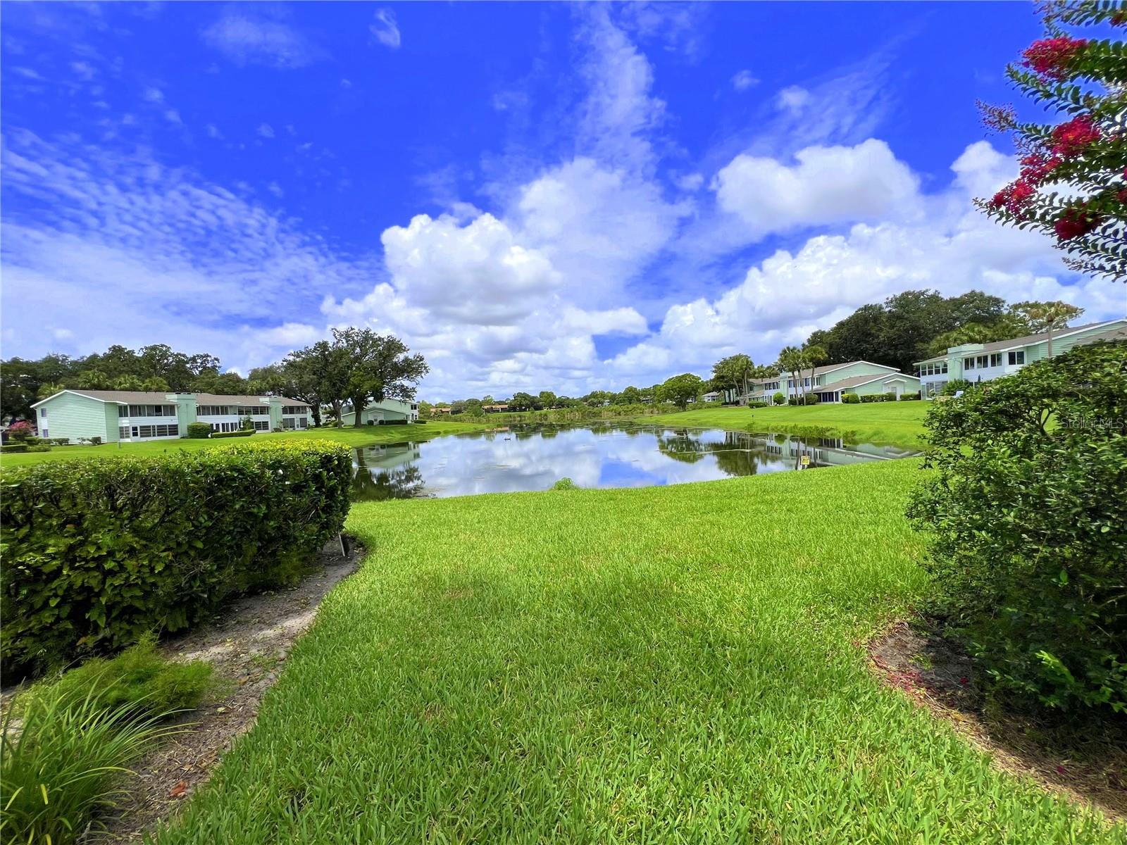 OM705191 Property Photo