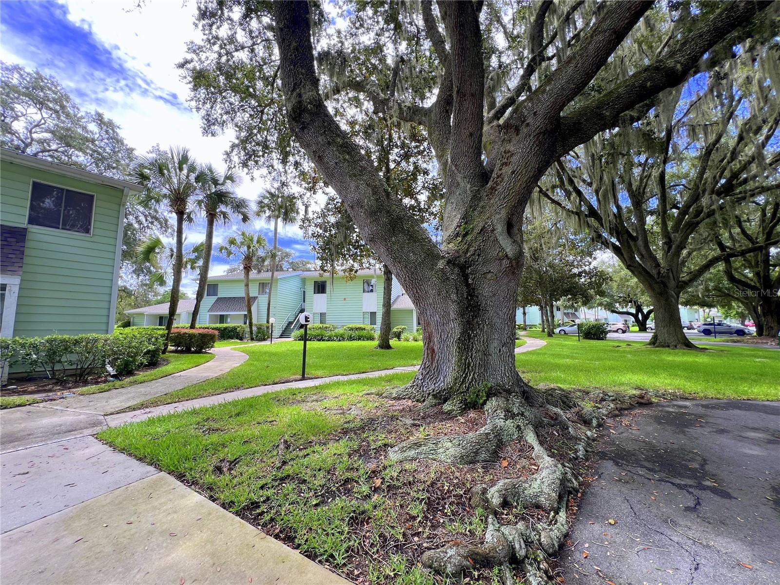 OM705191 Property Photo