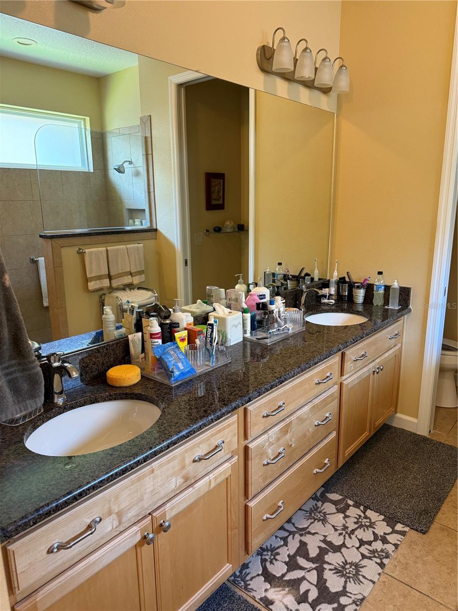 8301 BRIDGEPORT BAY CIR, MOUNT DORA, FL, 32757