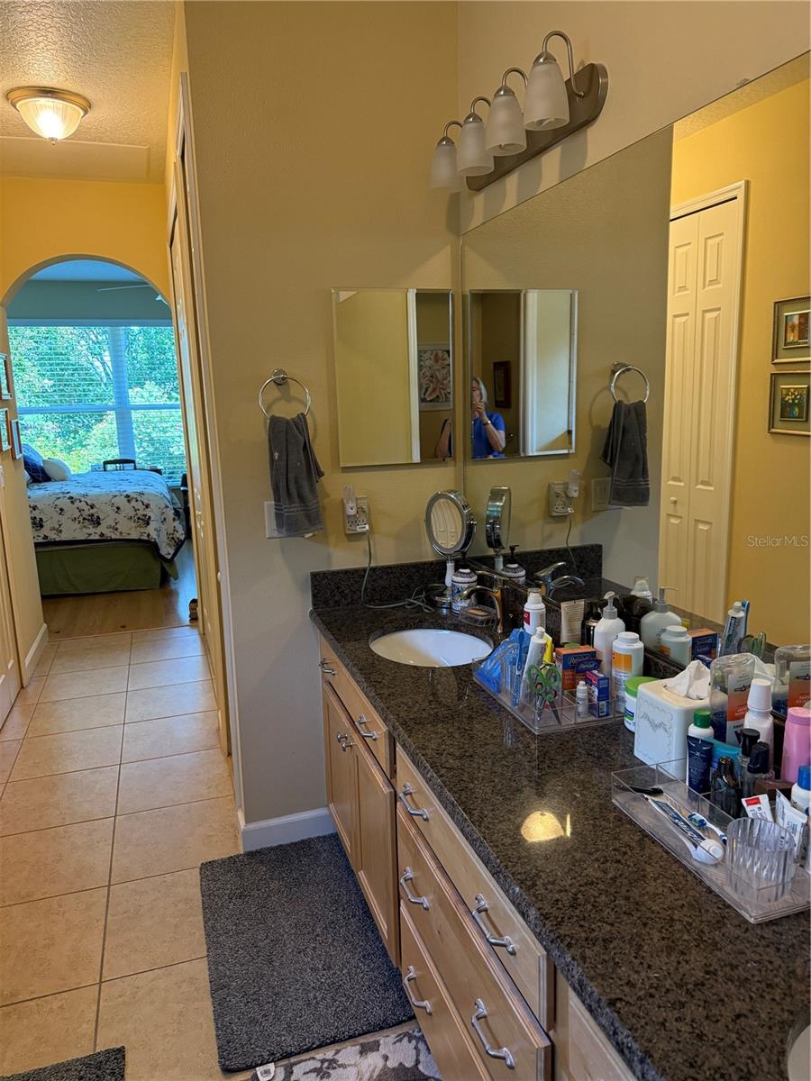 8301 BRIDGEPORT BAY CIR, MOUNT DORA, FL, 32757