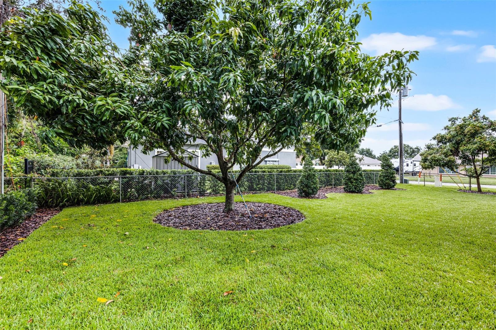 284 DONALD DR, WINTER GARDEN, FL, 34787