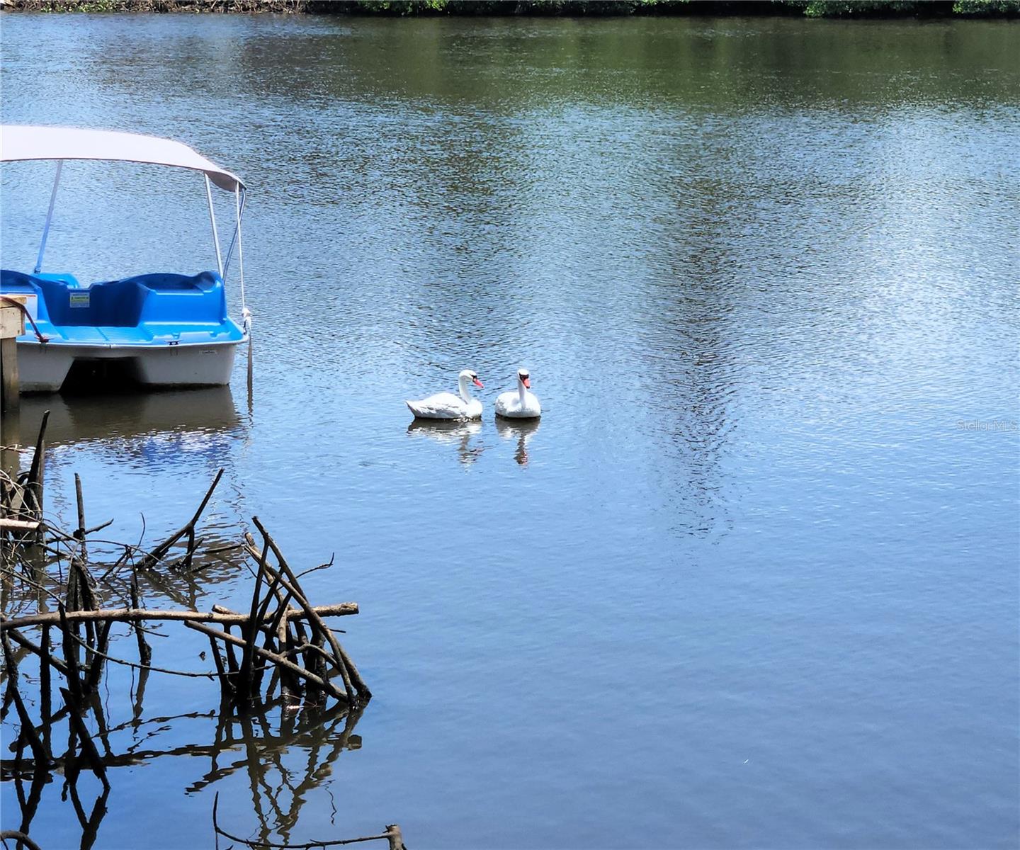 TB8405799 Property Photo