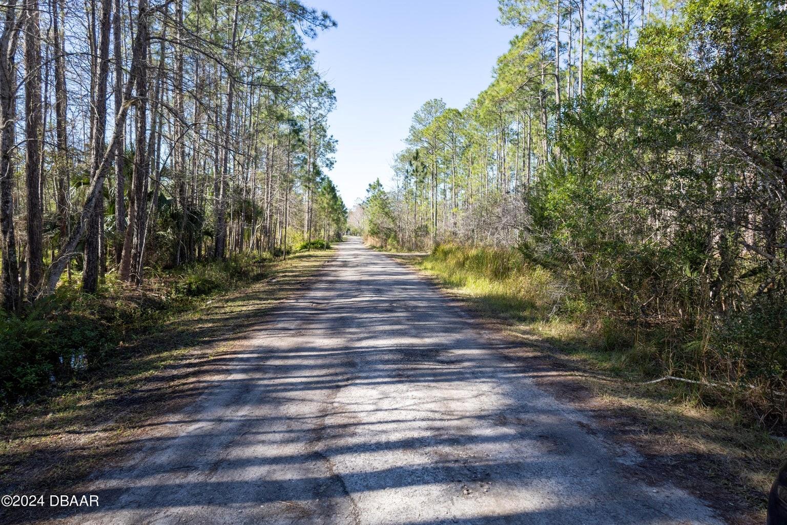 3653 CONIFER LN, ORMOND BEACH, FL, 32174