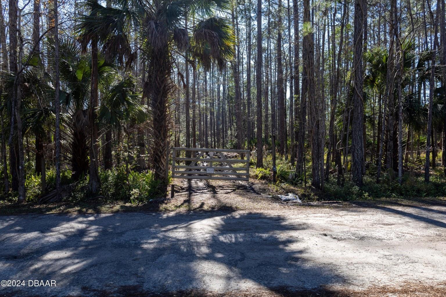 3653 CONIFER LN, ORMOND BEACH, FL, 32174