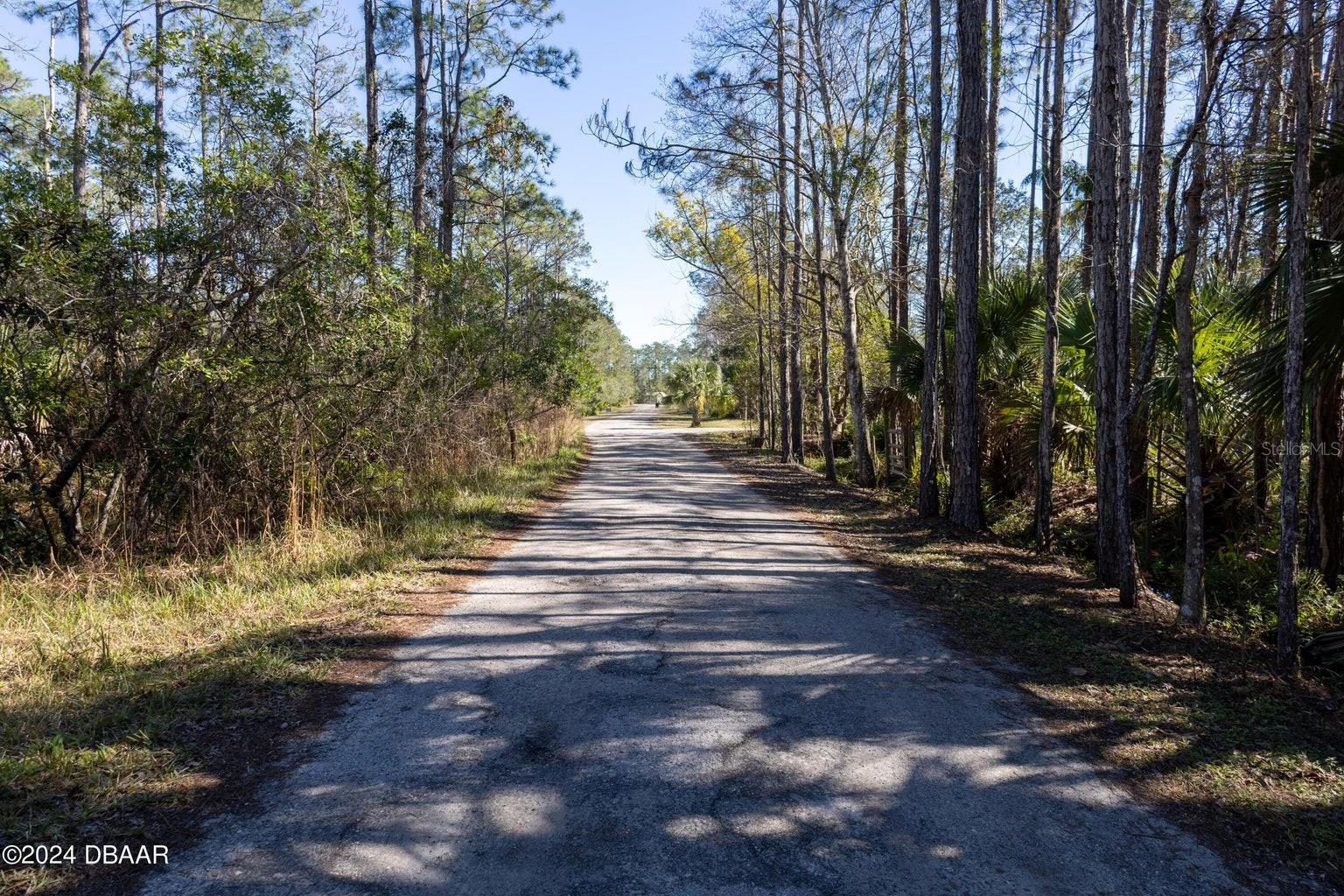 3653 CONIFER LN, ORMOND BEACH, FL, 32174