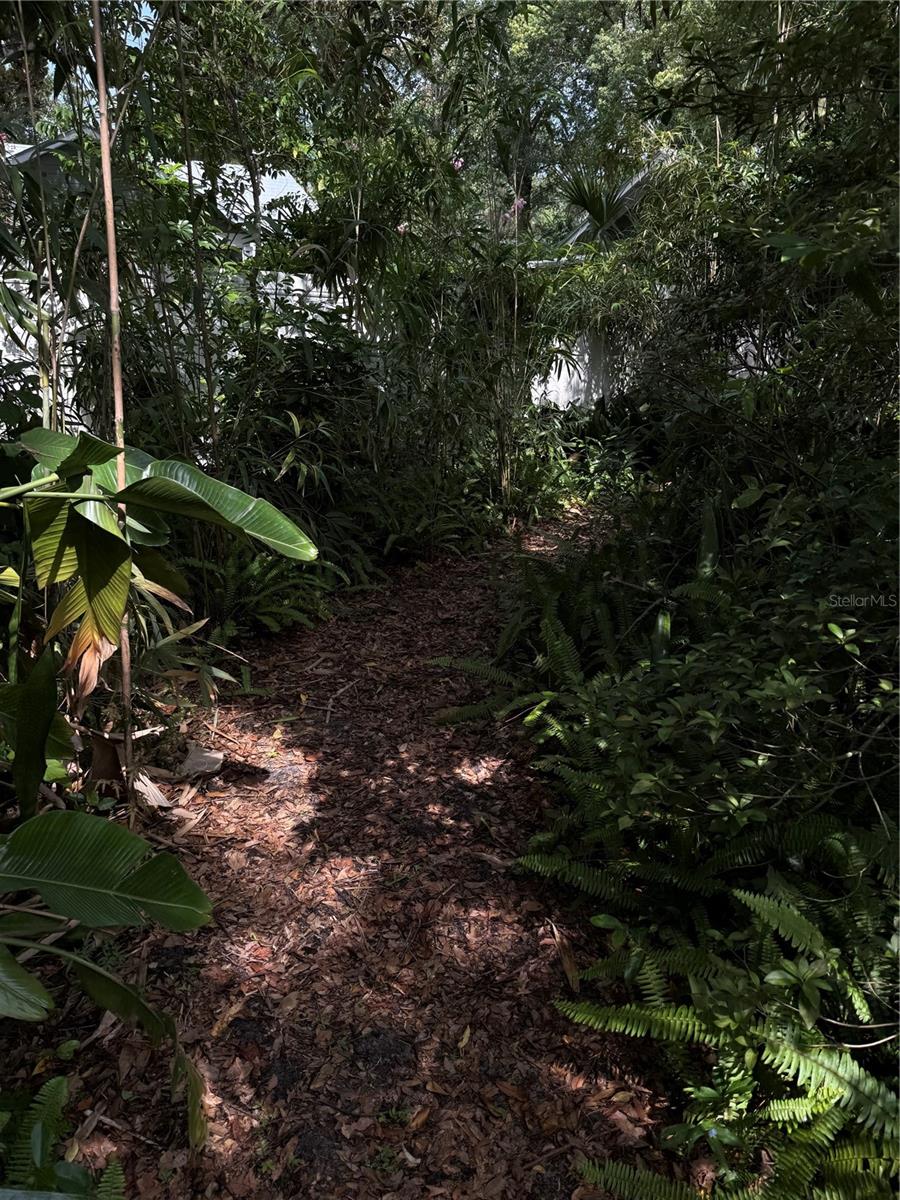 210 W 11TH AVE, MOUNT DORA, FL, 32757