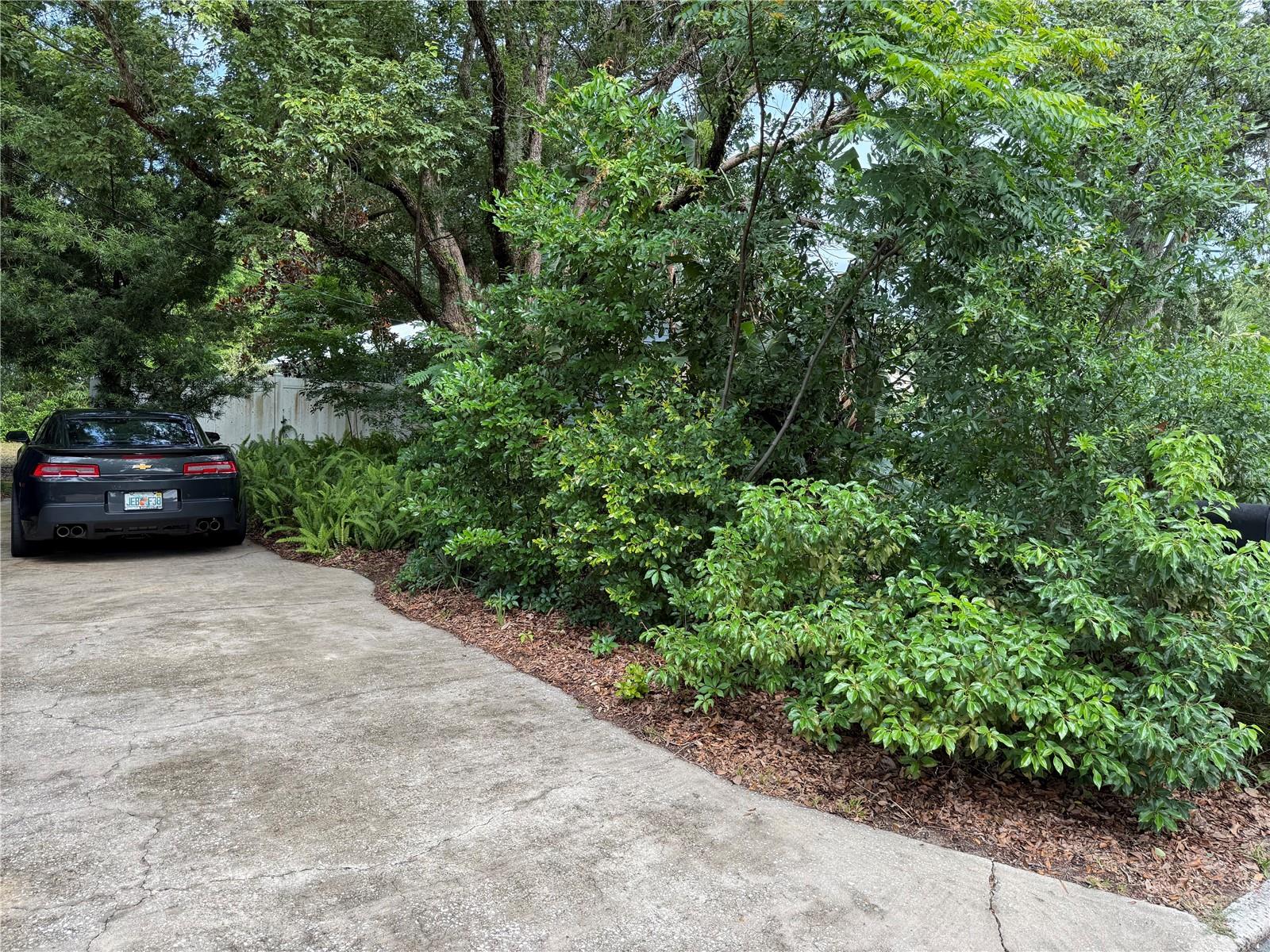 210 W 11TH AVE, MOUNT DORA, FL, 32757