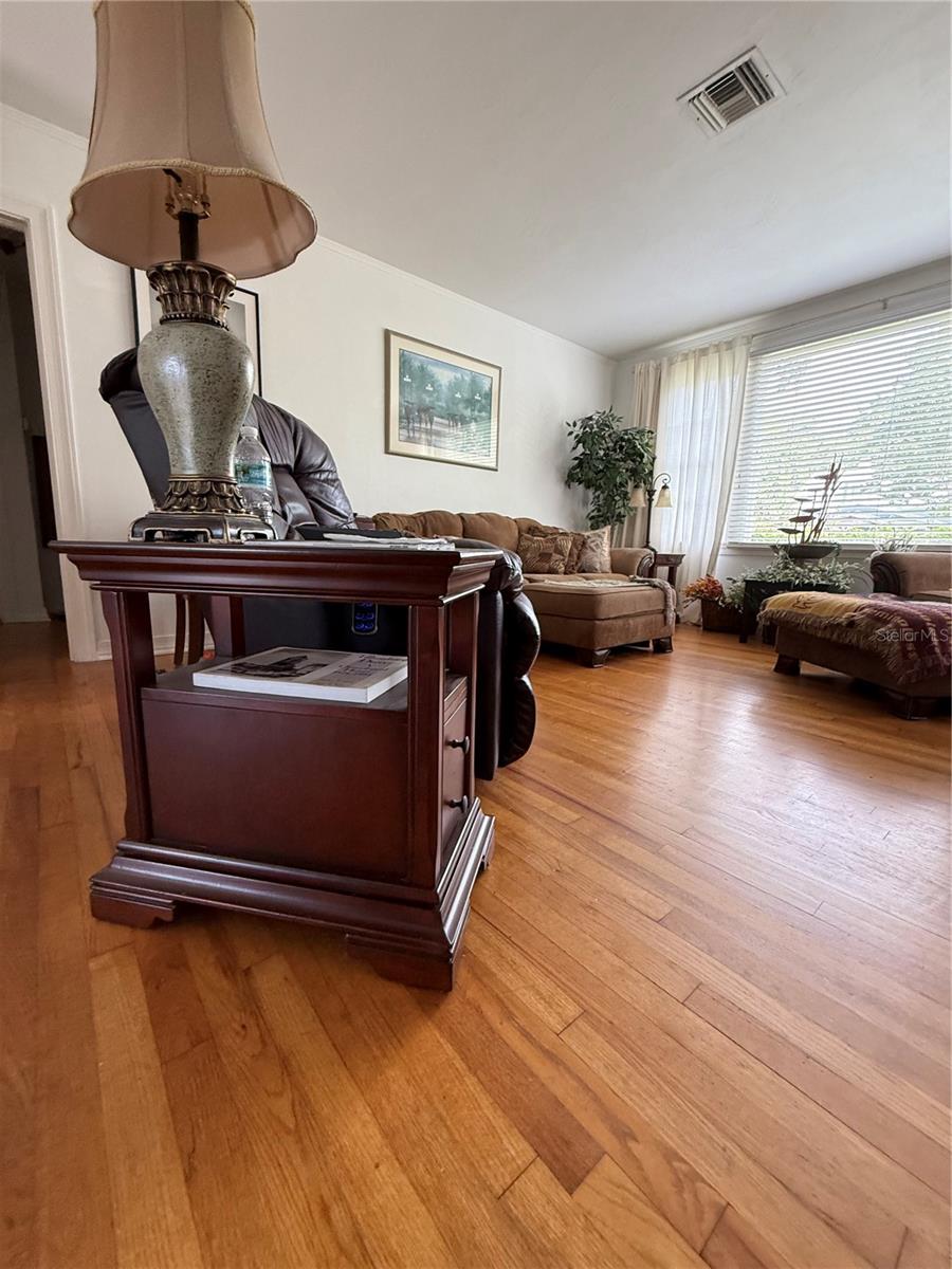 210 W 11TH AVE, MOUNT DORA, FL, 32757