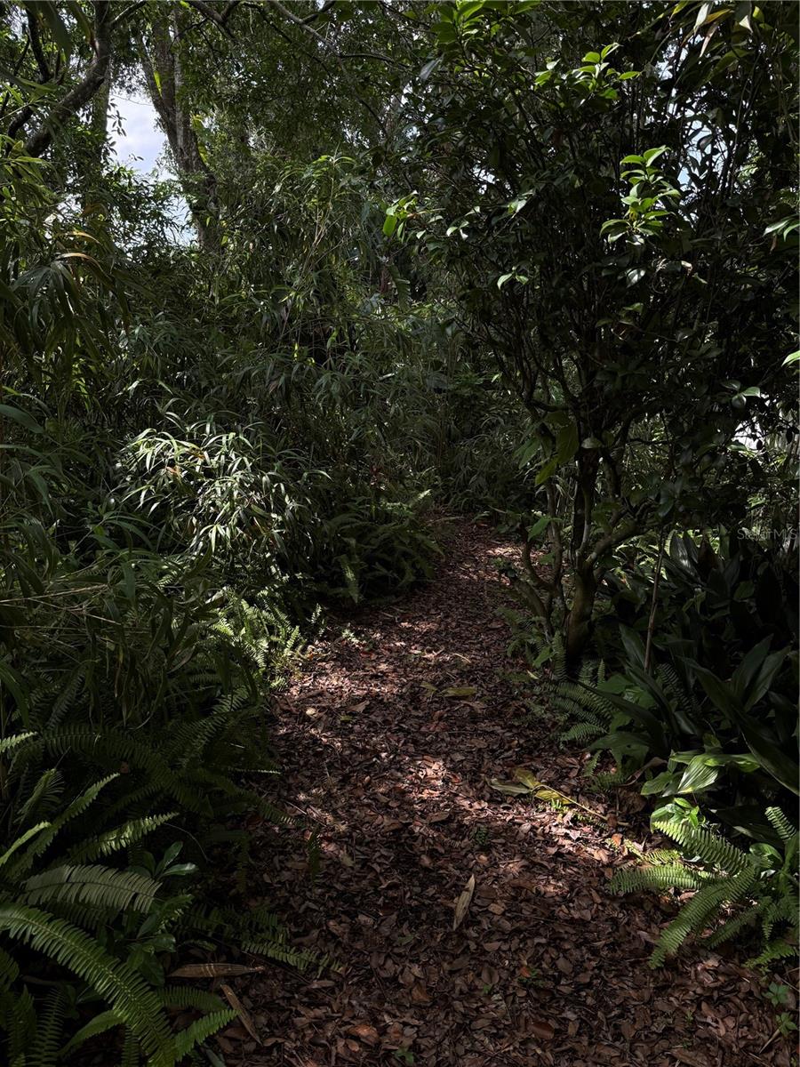 210 W 11TH AVE, MOUNT DORA, FL, 32757