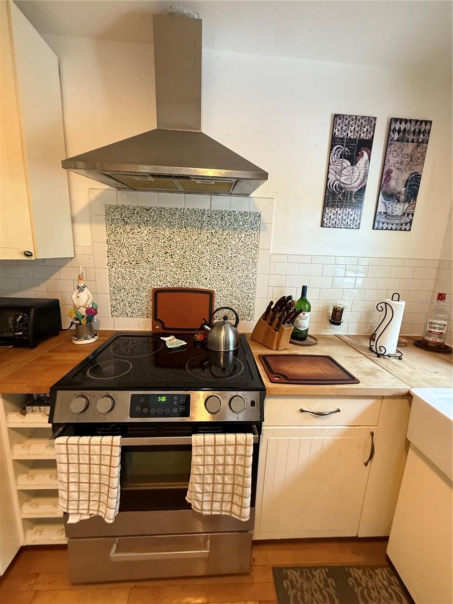 210 W 11TH AVE, MOUNT DORA, FL, 32757