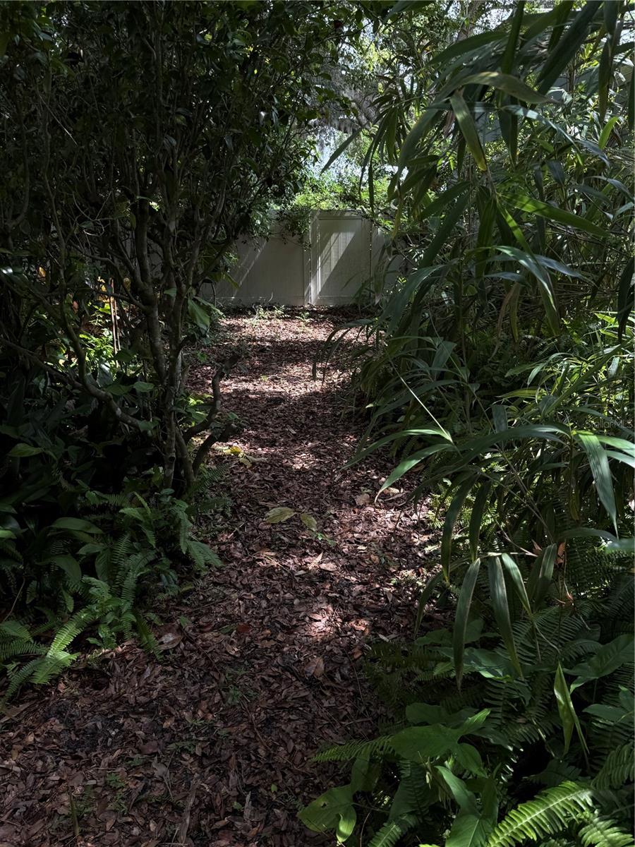 210 W 11TH AVE, MOUNT DORA, FL, 32757