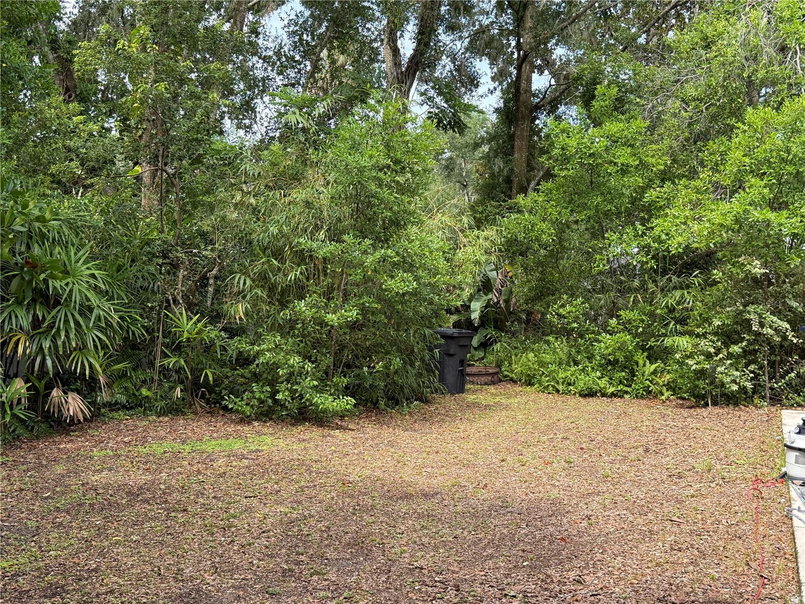 210 W 11TH AVE, MOUNT DORA, FL, 32757