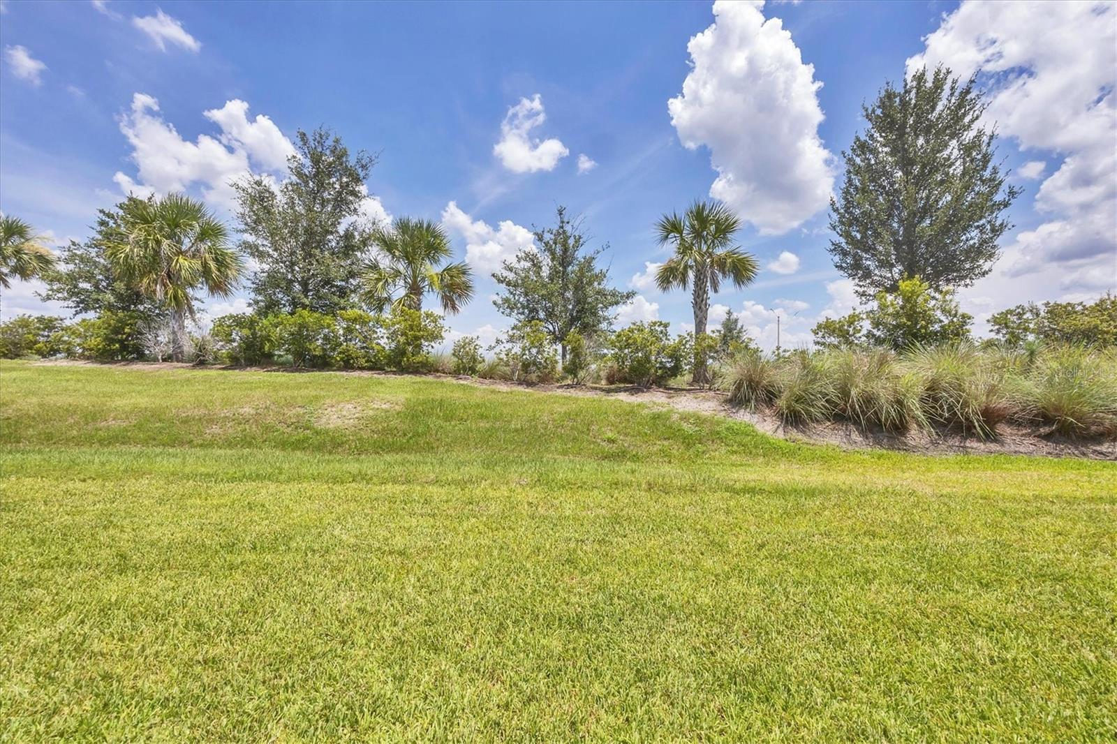 10108 HAMMOCK BROOK DR, PARRISH, FL, 34219