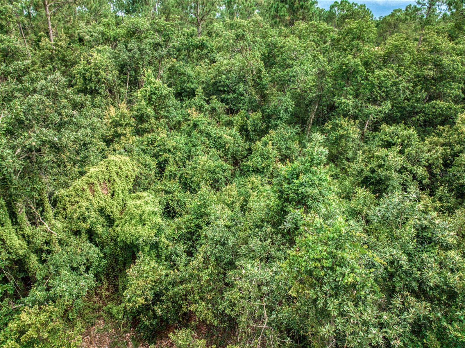 7631 BERNAL DR, SEBRING, FL, 33872