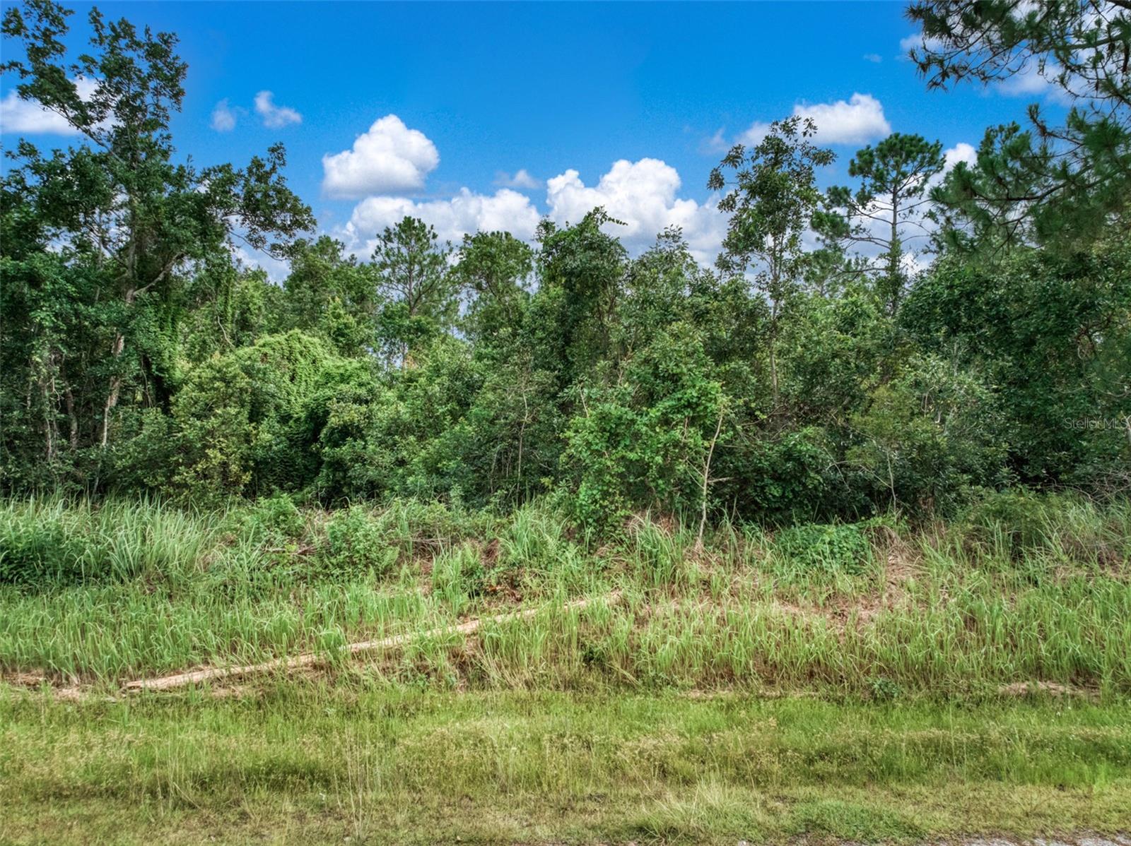 7631 BERNAL DR, SEBRING, FL, 33872