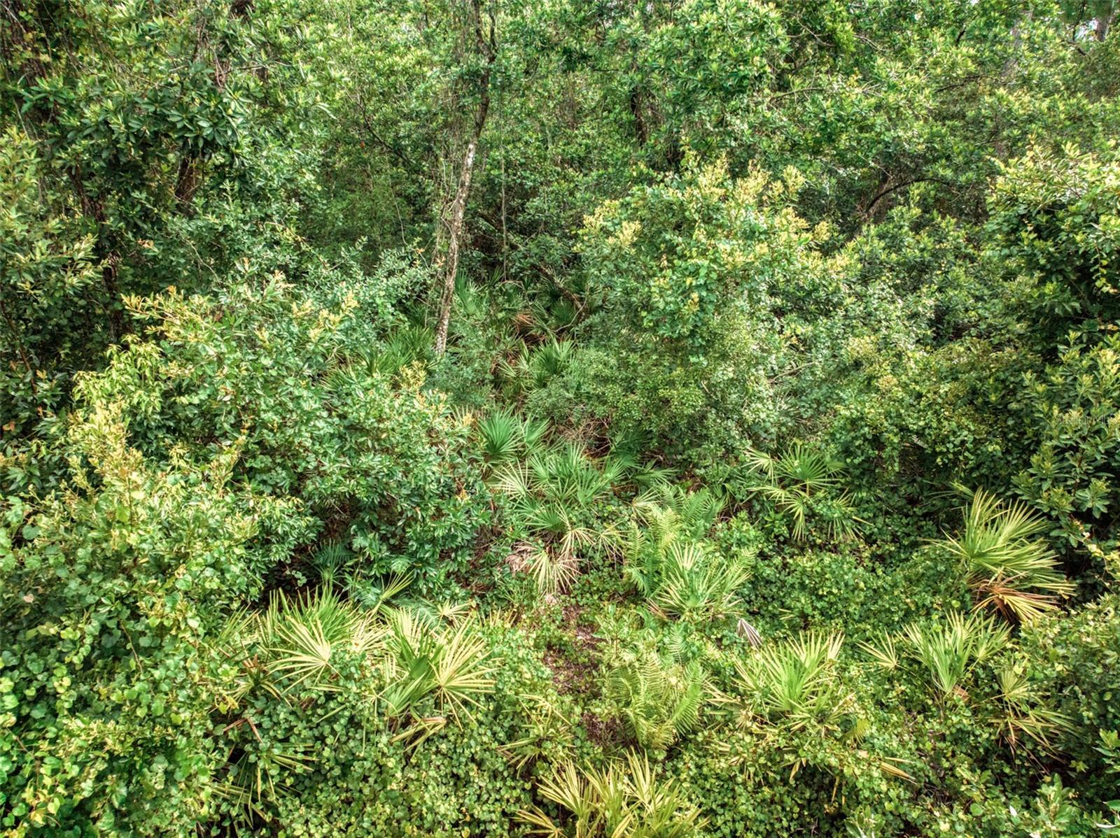 7631 BERNAL DR, SEBRING, FL, 33872