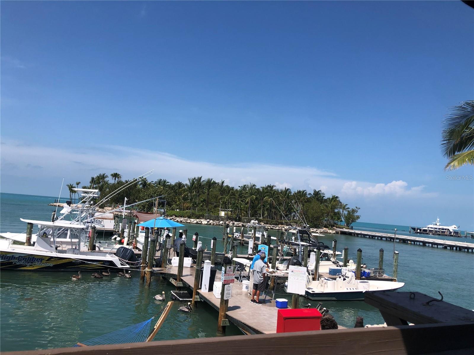 11250 SW ESSEX DR, LAKE SUZY, FL, 34269