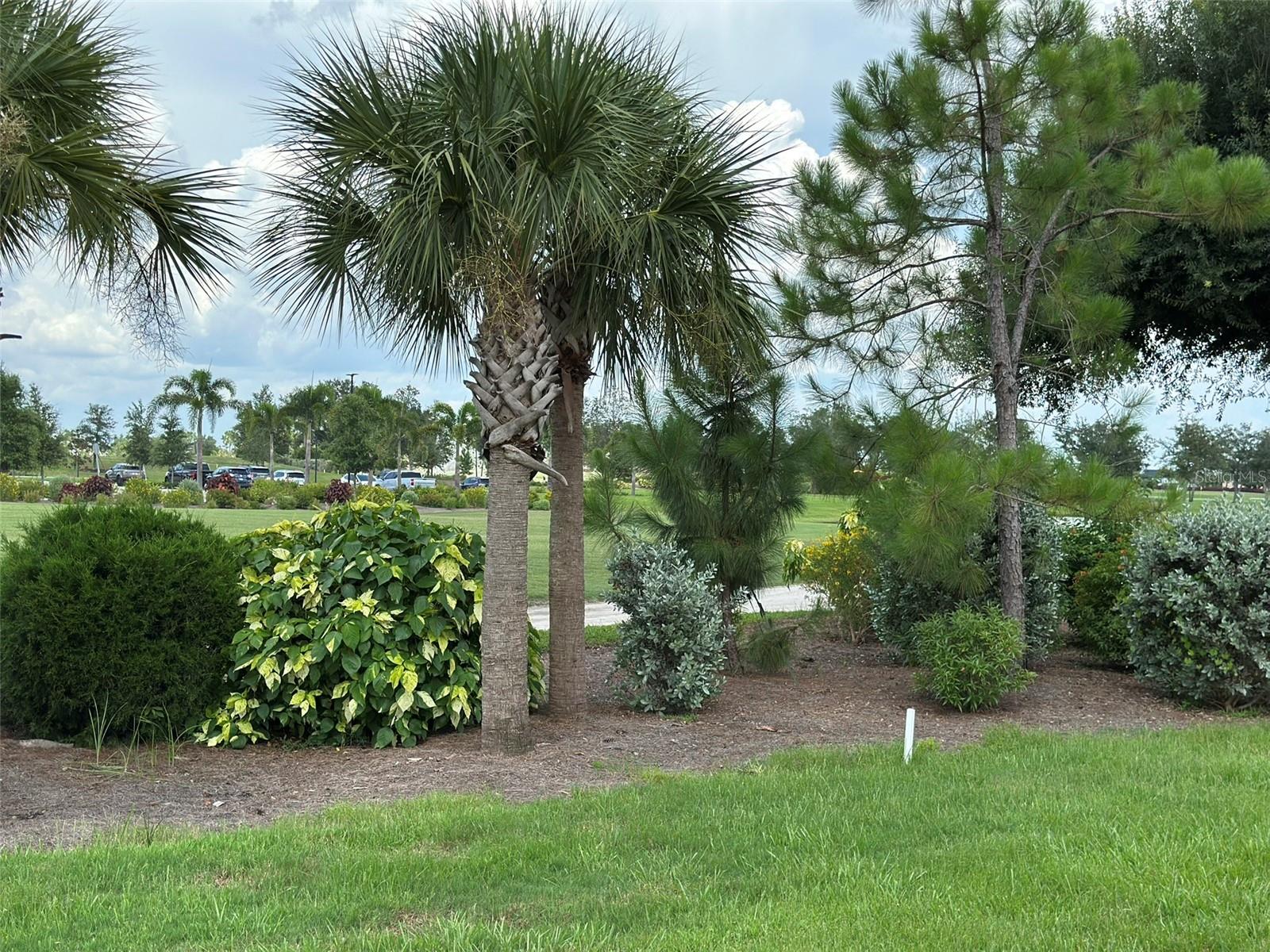 11250 SW ESSEX DR, LAKE SUZY, FL, 34269