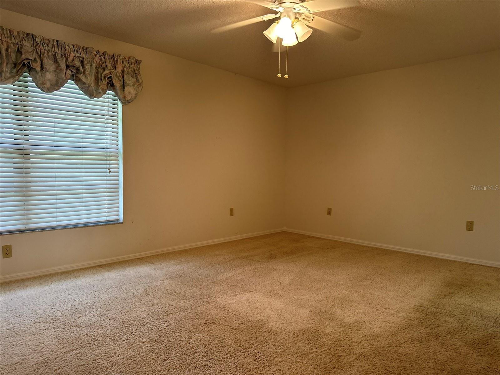 11250 SW ESSEX DR, LAKE SUZY, FL, 34269