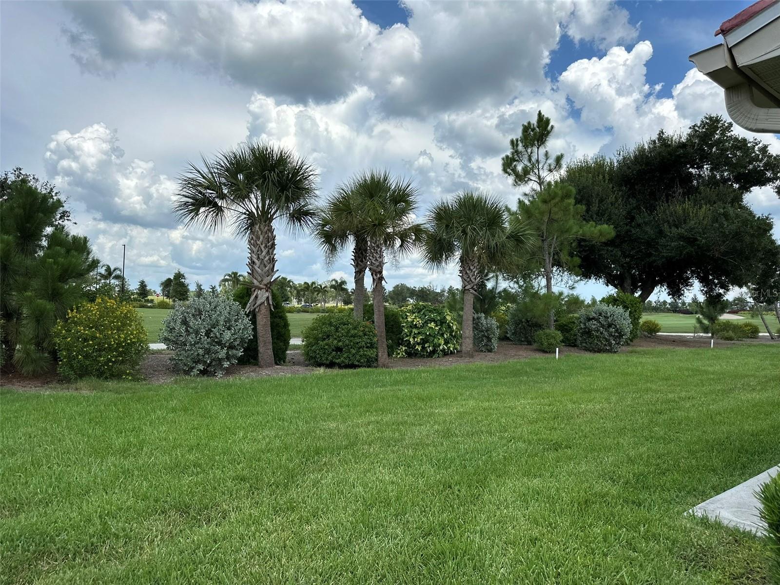 11250 SW ESSEX DR, LAKE SUZY, FL, 34269