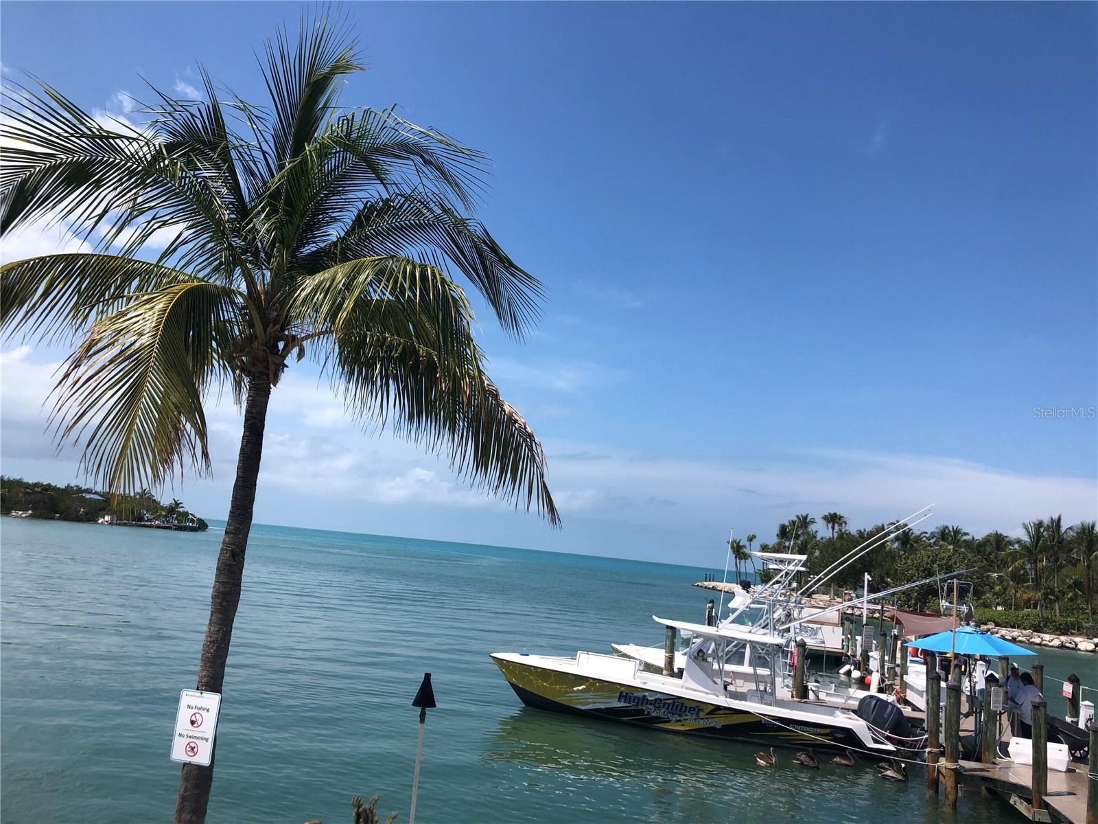 11250 SW ESSEX DR, LAKE SUZY, FL, 34269