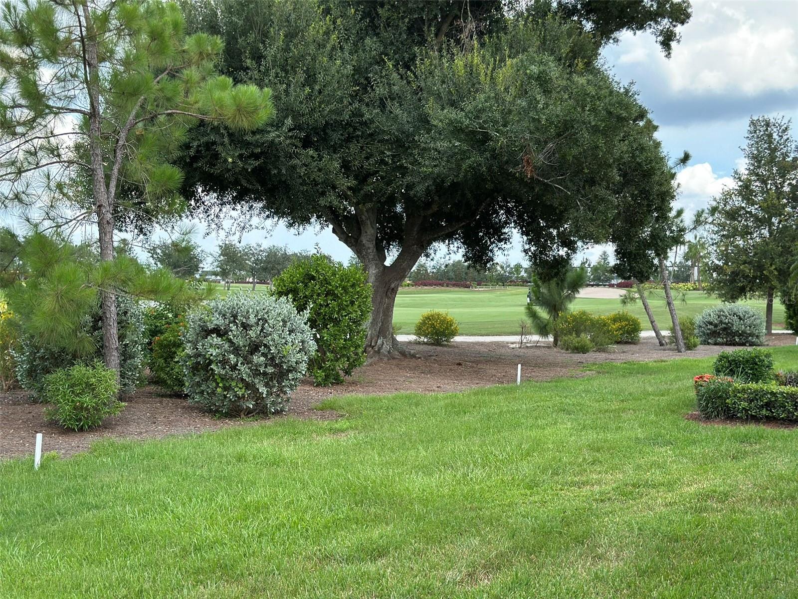 11250 SW ESSEX DR, LAKE SUZY, FL, 34269