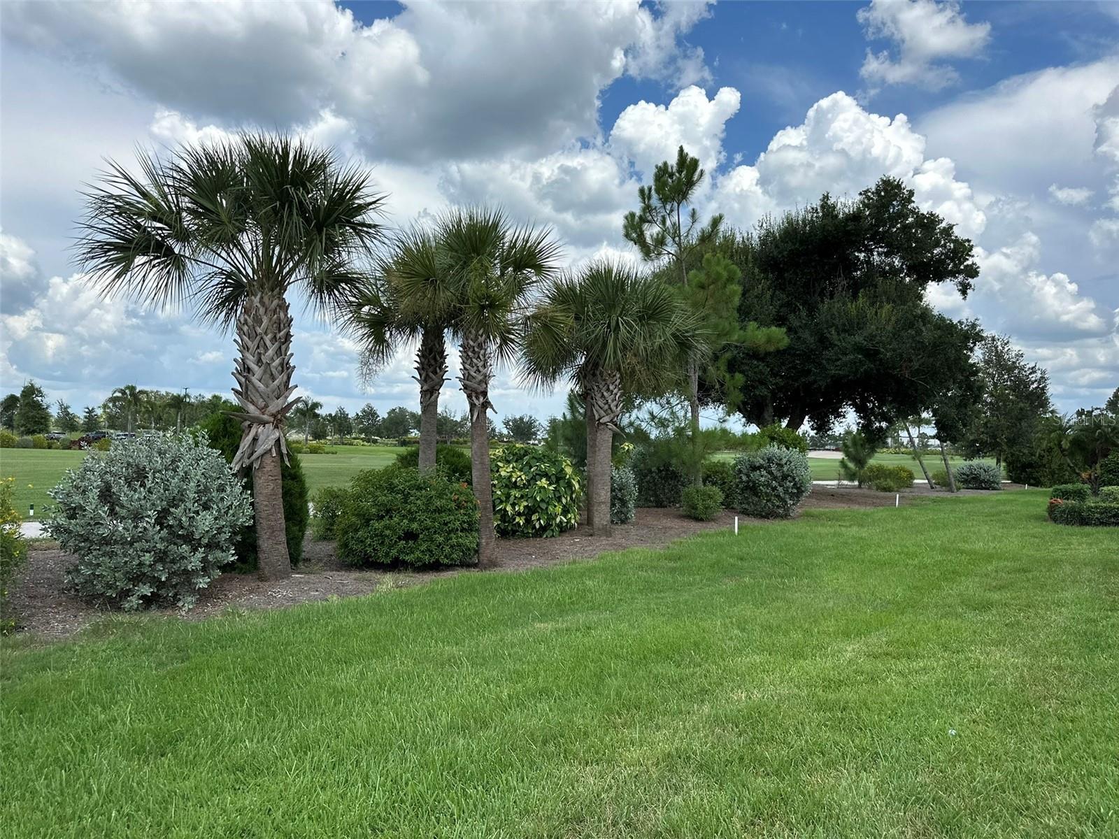 11250 SW ESSEX DR, LAKE SUZY, FL, 34269