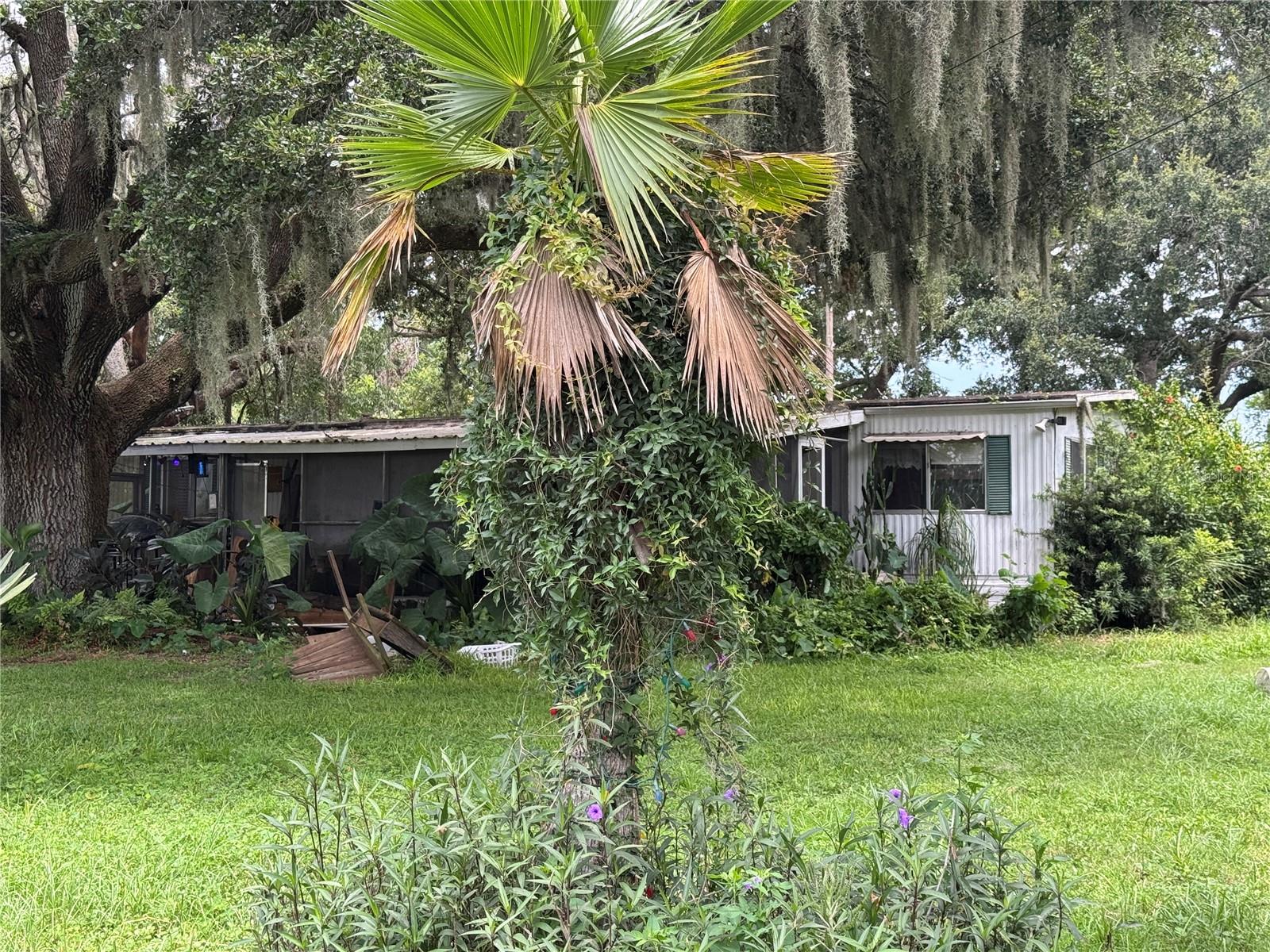 13920 HAYNES RD, DOVER, FL, 33527